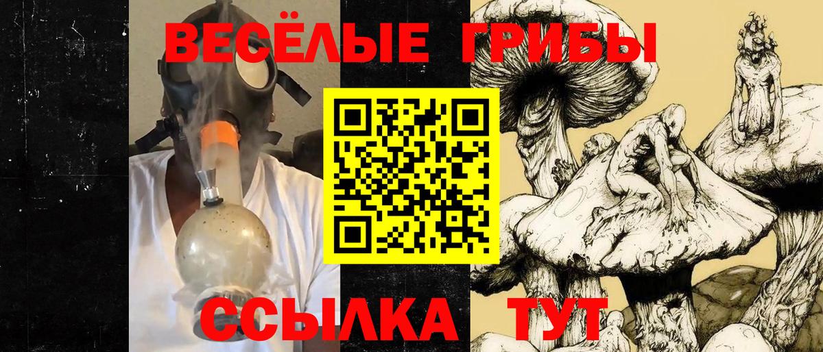 Галлюциногенные грибы прущие грибы  Вход с VPN  Псилоцибиновые грибы GOLDEN TEACHER  Алексин 