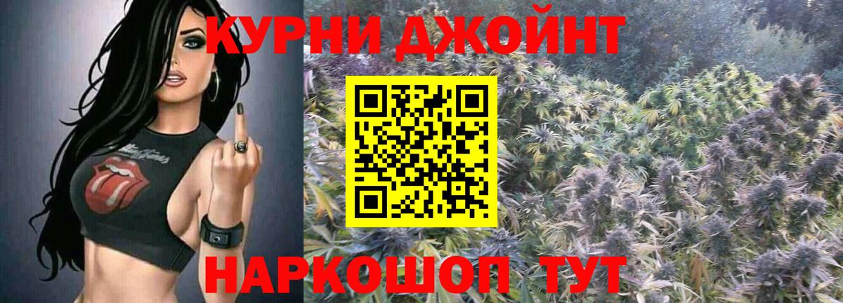 Шишки марихуана семена  Вход с VPN  Марихуана SATIVA & INDICA  Алексин  Конопля OG Kush 